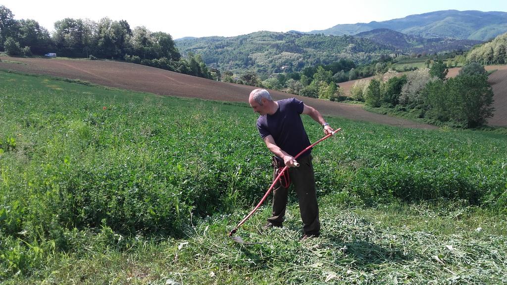 Agriturismo Stazione di Monta Villa Vicchio Esterno foto