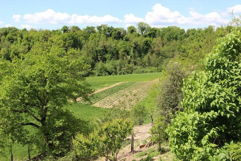 Agriturismo Stazione di Monta Villa Vicchio Esterno foto